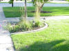 Brick Edging